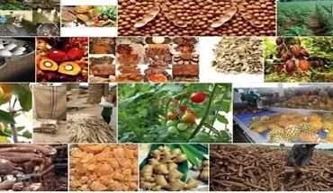 Agribusiness & Agro-Allied Product & Export