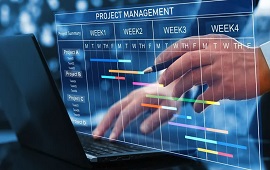 IT project management